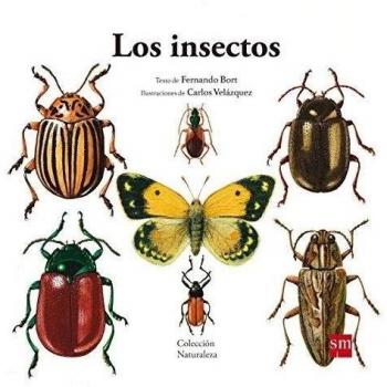 Los insectos: 5 - Fernando Bort Misol