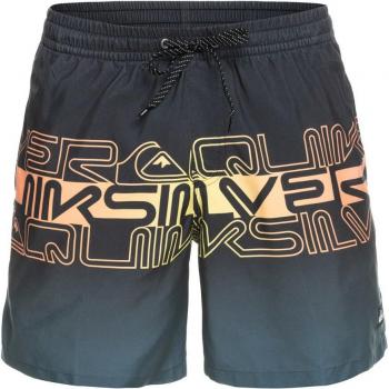 Short de Natación Quiksilver Everyday Wordblock 17' - Hombre