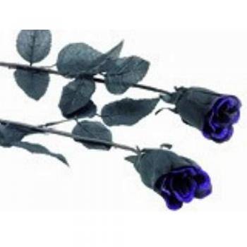 Rosa negra con purpurina morada para Halloween