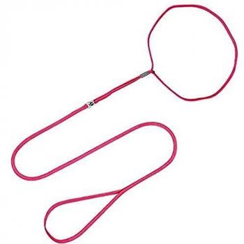Arppe 2373010097 Collar Correa Nylon Exposición, Rosa