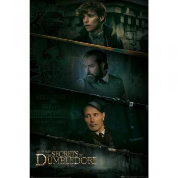 Póster Harry Potter Animales Fantásticos Personajes
