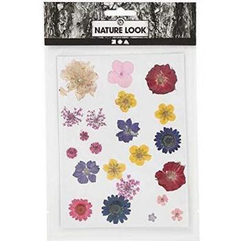 Mezcla de Flores Secas y Hojas Coloridas, 1 Paquete