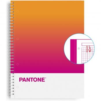Pack de 5 Cuadernos Escolares Pantone A4 con 80 hojas y cuadrícula de 5x5