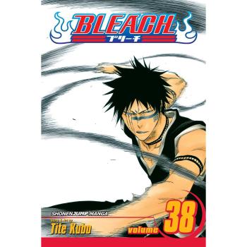Bleach Volume 38: Fear for Fight