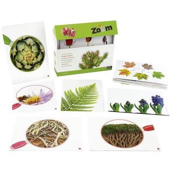 Juego didáctico Nathan Zoom: El mundo vegetal - juego educativo sobre botánica, incluye tarjetas ilustradas, actividades interactivas, diseñado para niños a partir de 5 años, fomenta el aprendizaje sobre plantas y su entorno
