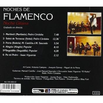 Noche Gitana -Noches Flamenco