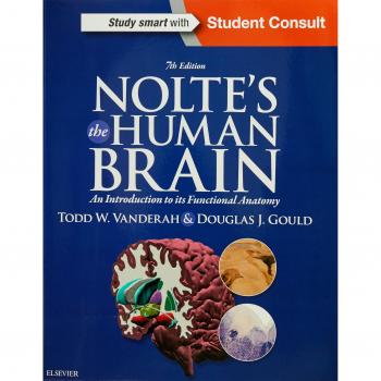 Nolte's The Human Brain: An Introduction to its Functional Anatomy - Textbook, 5th Edition, by Alan R. Crossman and David W. Neary, includes detailed illustrations, comprehensive coverage of brain anatomy and functions, access to