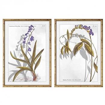 Cuadro DKD Home Decor 50 x 2 x 70 cm Moderno Plantas botánicas (2 Unidades)