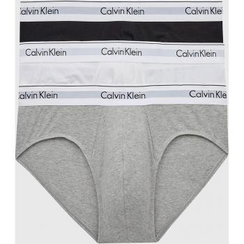 Calvin Klein 3 Pack Modern Cotton Stretch Hip Briefs, Male, Multicolor, Size: L Slip