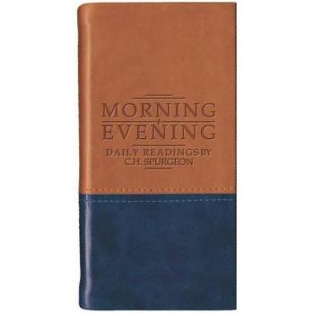 MORNING AND EVENING MATT TAN BLUE IMLTH