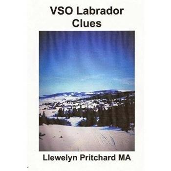 VSO Labrador Clues: Volume 1