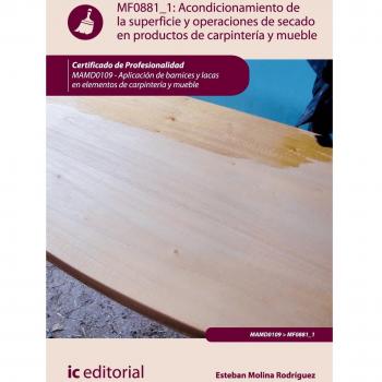 Acondicionamiento de la superficie y operaciones de secado en productos de carpintería y mueble. mamd0109