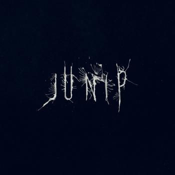 Junip Vinyl Record - Limited Edition Collector's Pressing