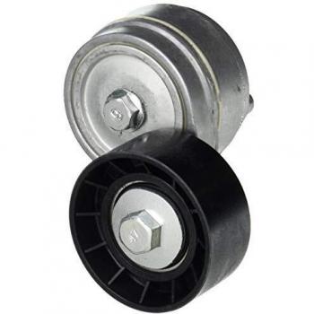 Dayco APV1077 Tensioner