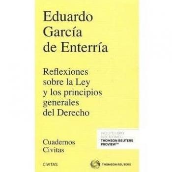 Reflexiones sobre la Ley y los principios generales del Derecho
