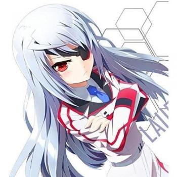 IS Infinite Stratos (24x24 inch, 60x60 cm) Silk Poster Seda Cartel PJ19-01DE
