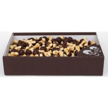 Galletas de setas con sabor a chocolate 1kg