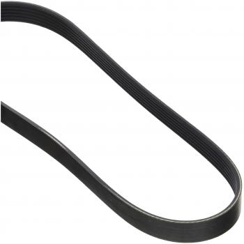 Dayco 6PK800 Correa Trapecial Poli V