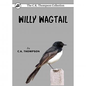 Pájaro Willy Wagtail de Peluche con Sonido y Movimiento