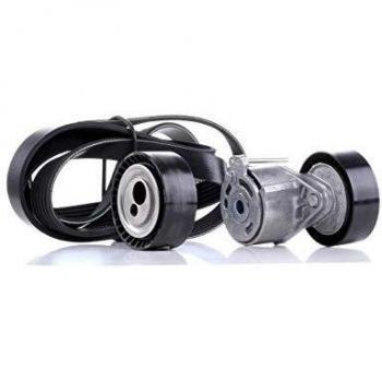Ina 529 0092 10 Correas de Distribución
