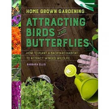 Attracting Birds and Butterflies