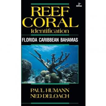 Reef Coral Identification: Florida Caribbean Bahamas: 03