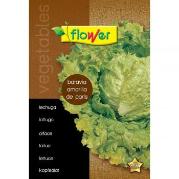 Sobre semillas de lechuga Flower