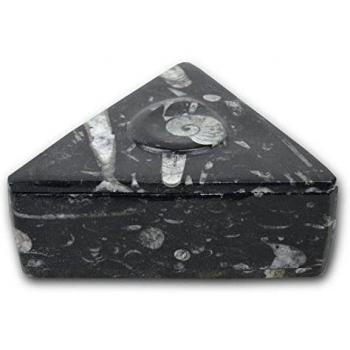 Joyero triangular color negro de fósiles Amonitas y Orthoceras del periodo Paleozoico, de hace 400 millones de años. Ancho 12 Longitud 12 Altura 4 cm