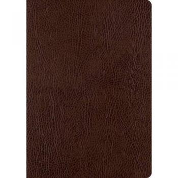 ESV Single Column Journaling Bible, Large Print