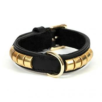 Collar para Perro Gloria Duna Negro Dorado (60 x 2.5 cm)