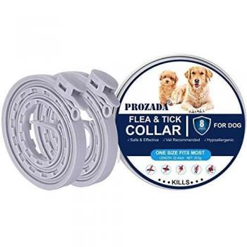 Prozada nueva formula collares antiparasitario para perros impermeable garrapatas y mosquitos tamano ajustable e impermeable para mascota pequeno mediano grandes57cm