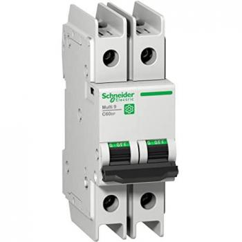 Schneider Electric Miniature Circuit Breaker 2-Pole C-curve 10A UL489
