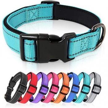 HEELE Collar Perro, Collar Nylon Reflectante Neopreno Forrado Ajustable para Perro Pequeño, Azul, S