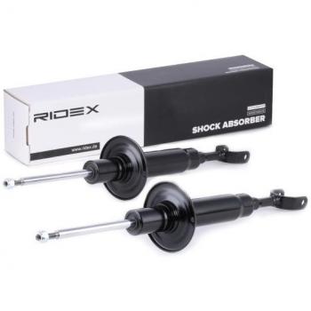 RIDEX 854S1568 Amortiguador, Set de 2