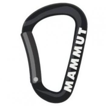 Mosquetón Mini Mammut Classic Keylock S (negro)