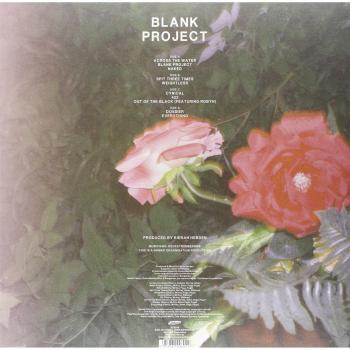 Neneh Cherry - Blank Project (LP Vinyl) - Authentic Electronica Experience