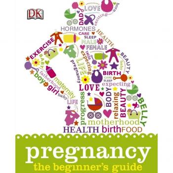 Pregnancy The Beginner's Guide