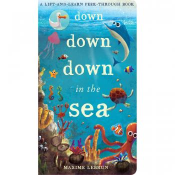 Down Down Down in the Sea: A lift-and-learn peek-through book
