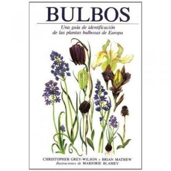 BULBOS