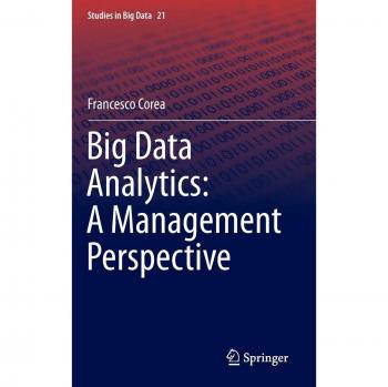 Big Data Analytics: A Management Perspective