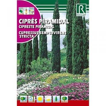Semillas de Ciprés piramidalis Cipreses sempervire