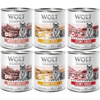 Wolf of Wilderness Expedition Senior Pack Misto (6 x 800 g)