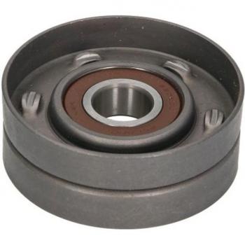 Polea tensora y brazo tensor para correa poli V BTA E2W5776BTA
