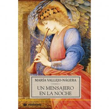 Un mensajero en la noche