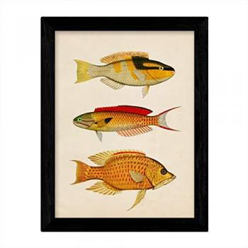 Lámina Vintage A3 de Tres Peces Amarillo, Negro, Rojo y Naranja en Papel de 250 g Sin Marco