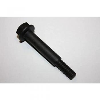 Tornillo de sistema de escape AUTOMEGA 140033410