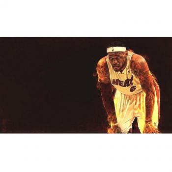 Miami Heat (43x24 inch, 107x60 cm) Silk Poster Seda Cartel PJ14-169A