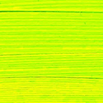Royal Talens Amsterdam acrílico | Colores y tamaños indicados Yellowish Green 250ml