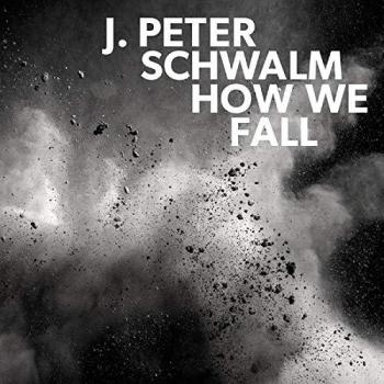 180 Gram Vinyl - How We Fall by Jan-Peter Schwalm