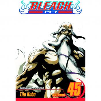 Bleach Volume 45: The Burnout Inferno